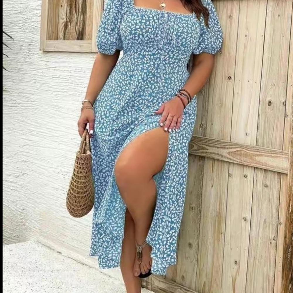 Floral Blue Dress (French maiden style)- NWOT